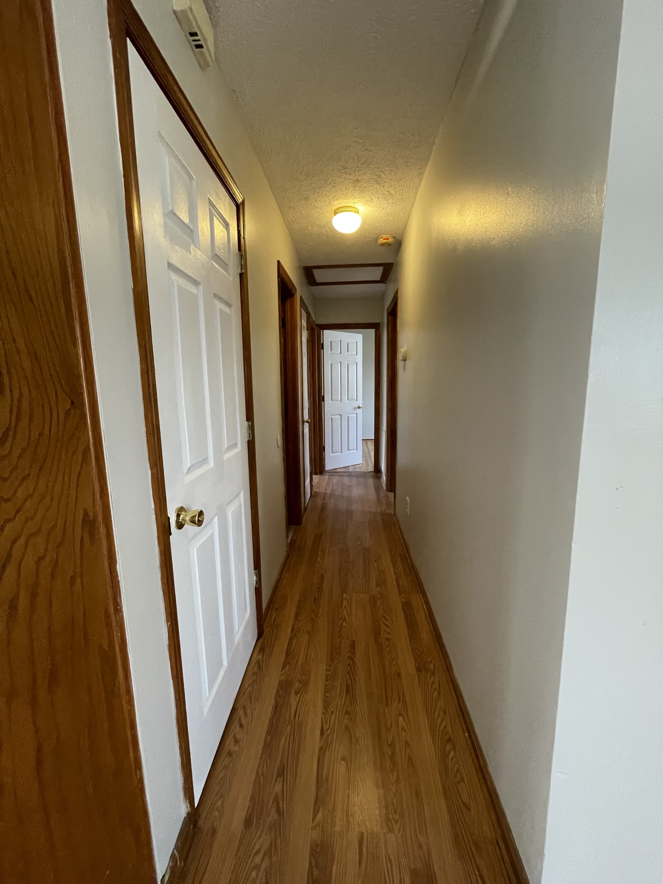 132 Bellmont Drive – photo 4