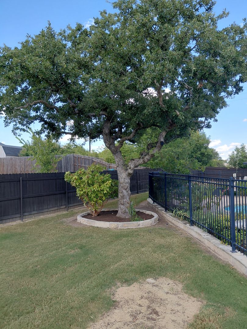 Beautiful 3/2/2 home with GORGEOUS pool that includes pool service – photo 3