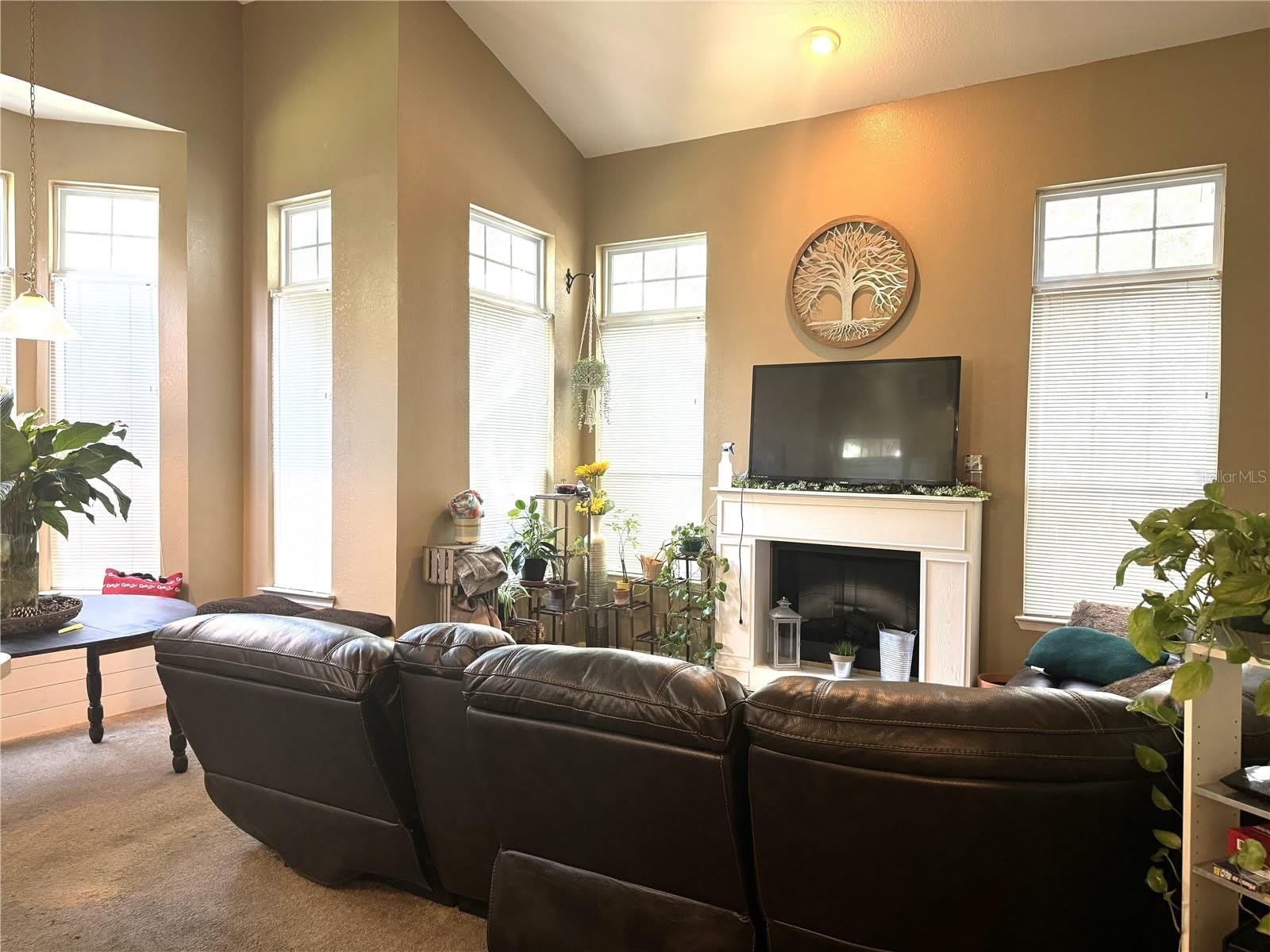 1101 VINTAGE VILLAGE Lane – photo 5