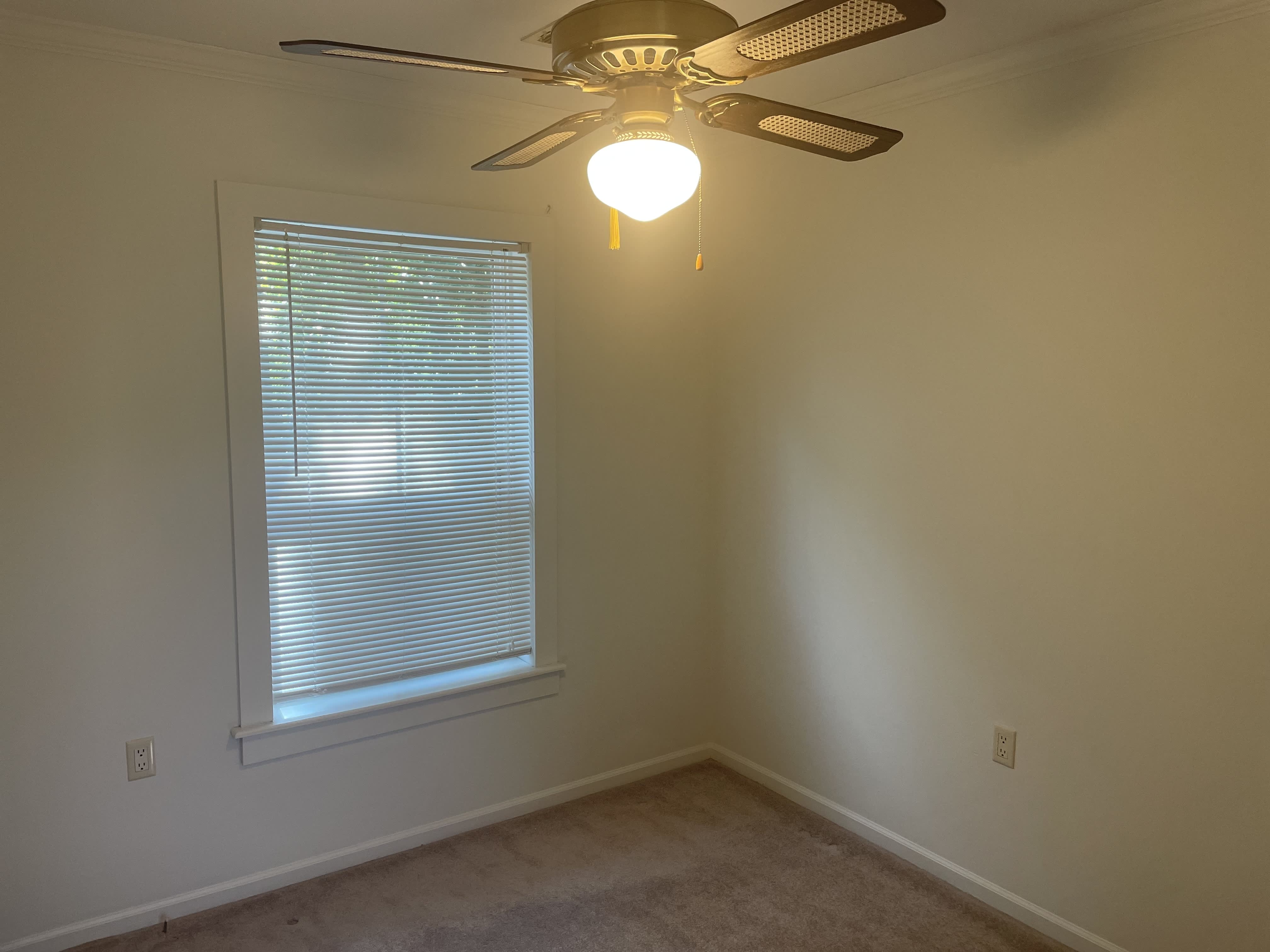 14217 Cullens St – photo 4