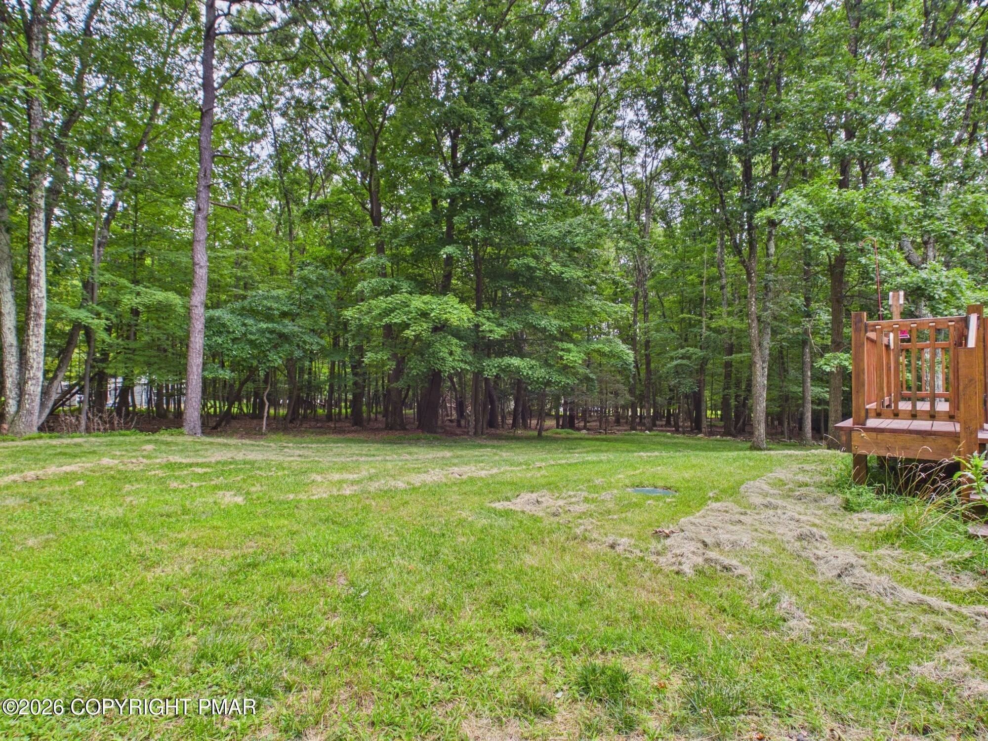 1186 Little Twig Road – photo 5