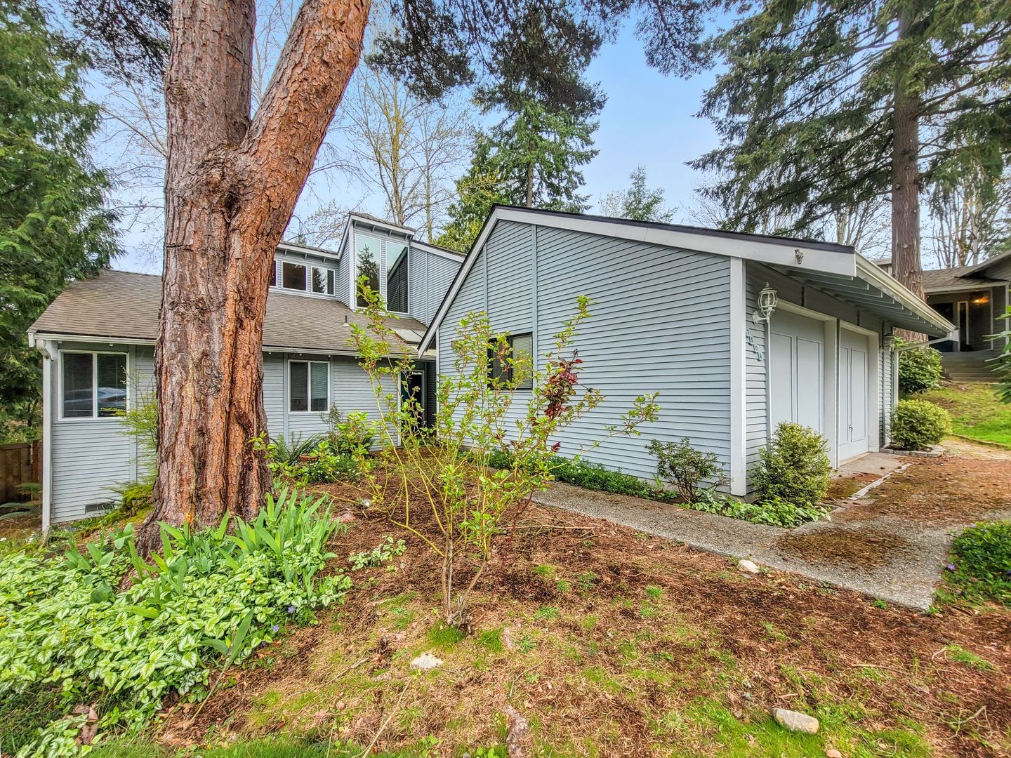 Beautiful spacious Single Family Home near Microsoft. – photo 3
