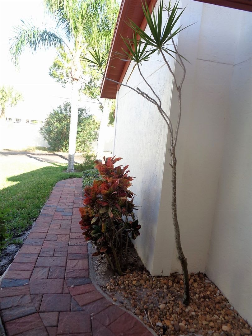 NEW PRICE! Small dog allowed. – photo 4