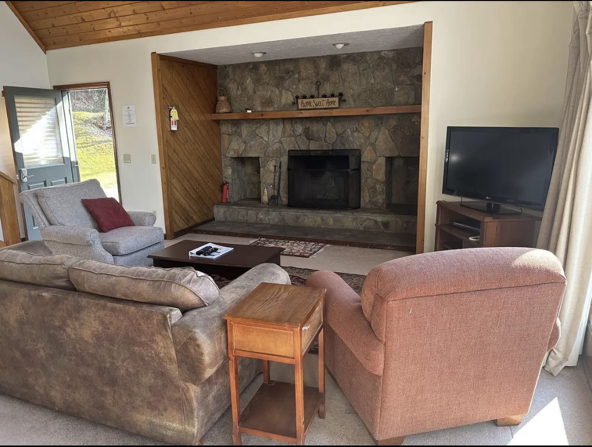 417 Chalet Village Dr – photo 3