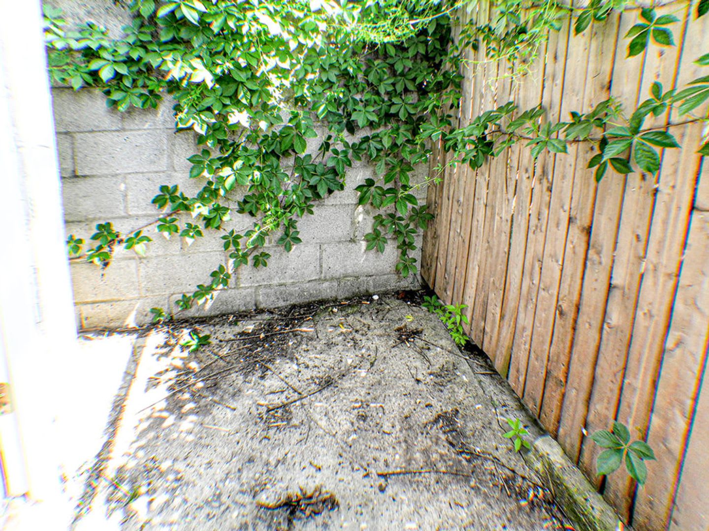 Point Breeze Three Bedroom Home – photo 4