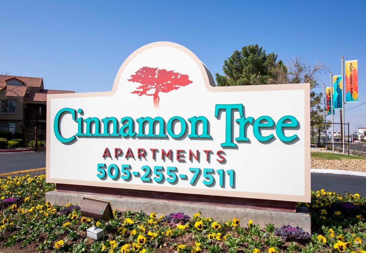 Cinnamon Tree – photo 1