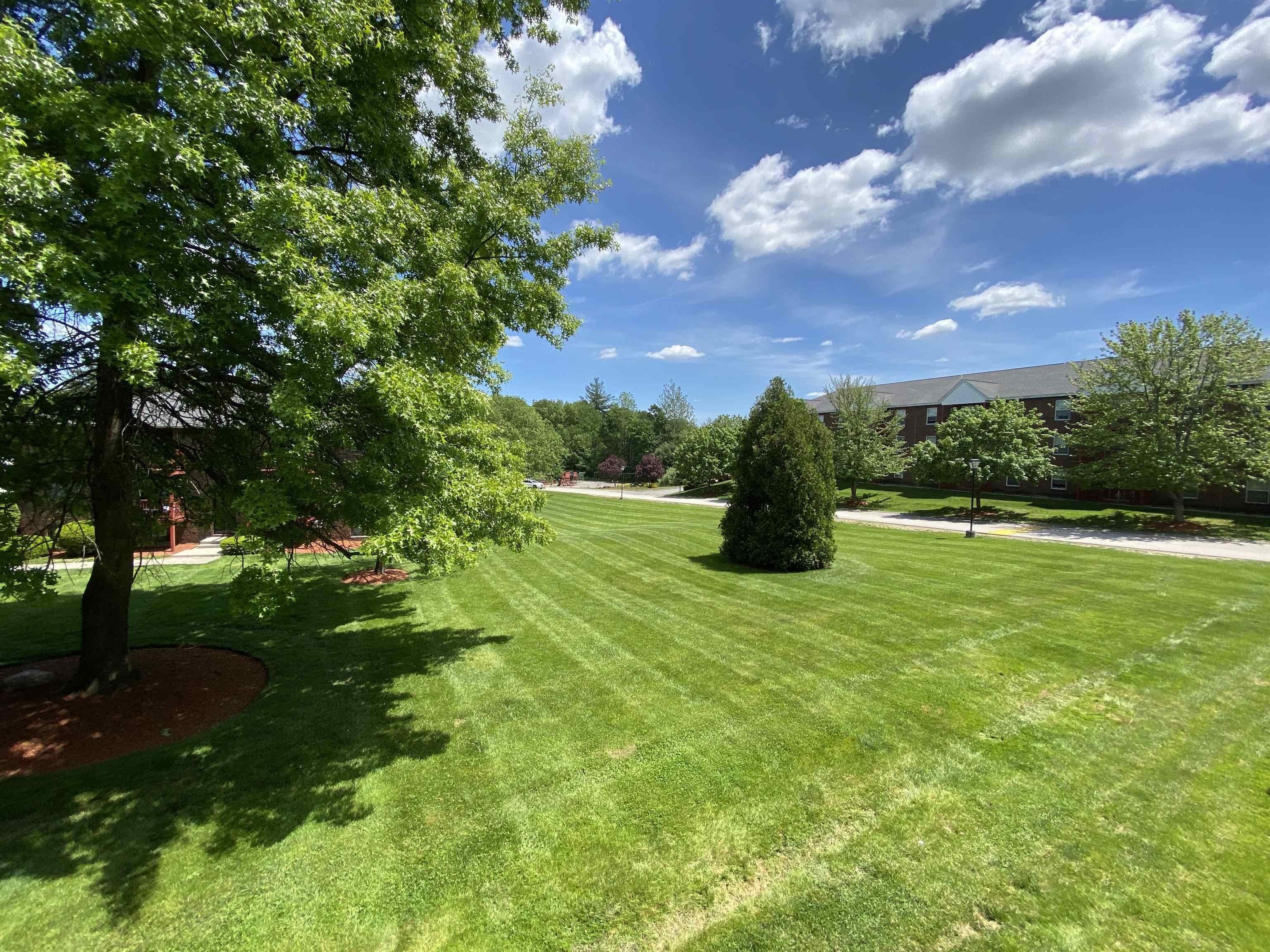 98 Powers Street – photo 2