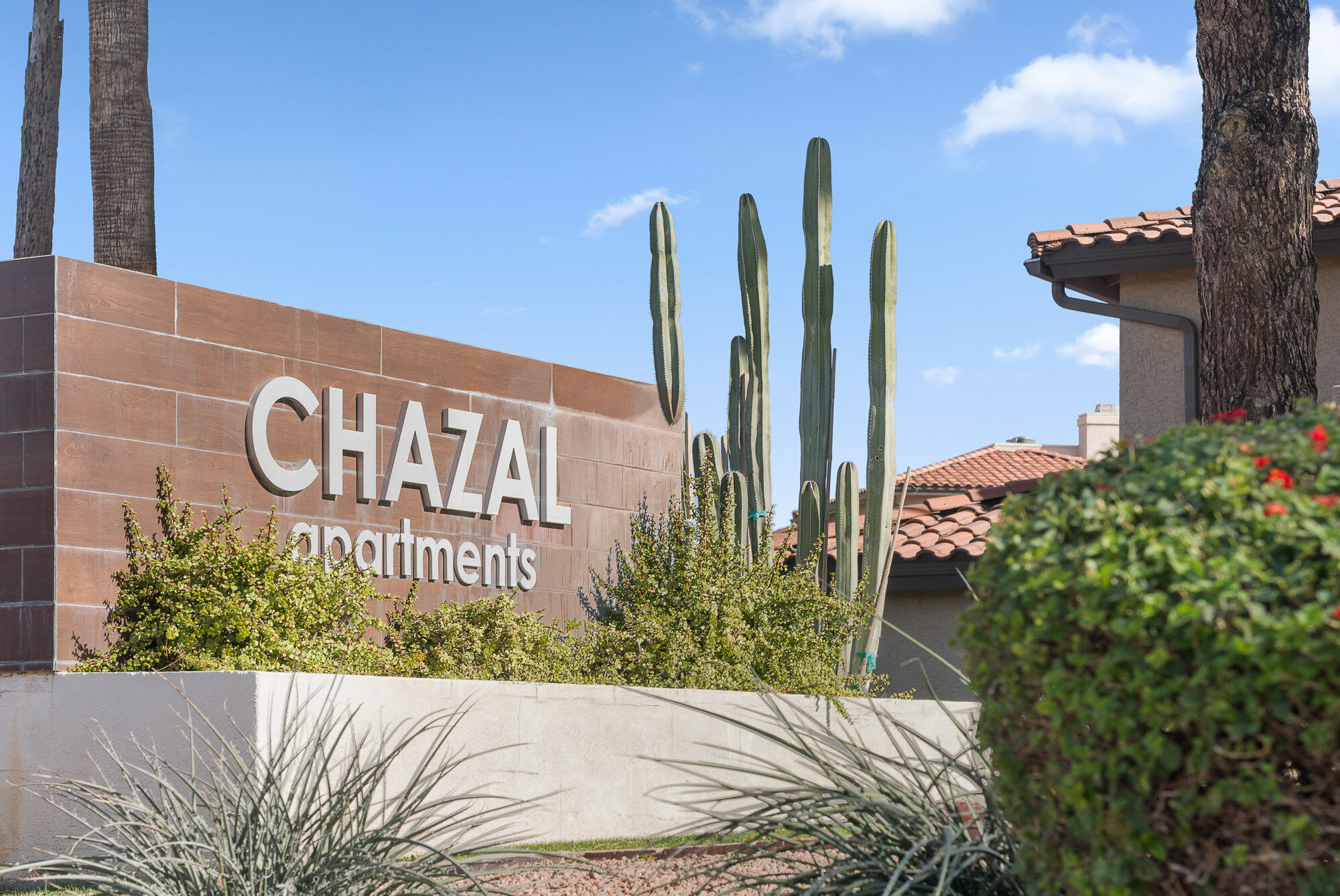 Chazal – photo 1