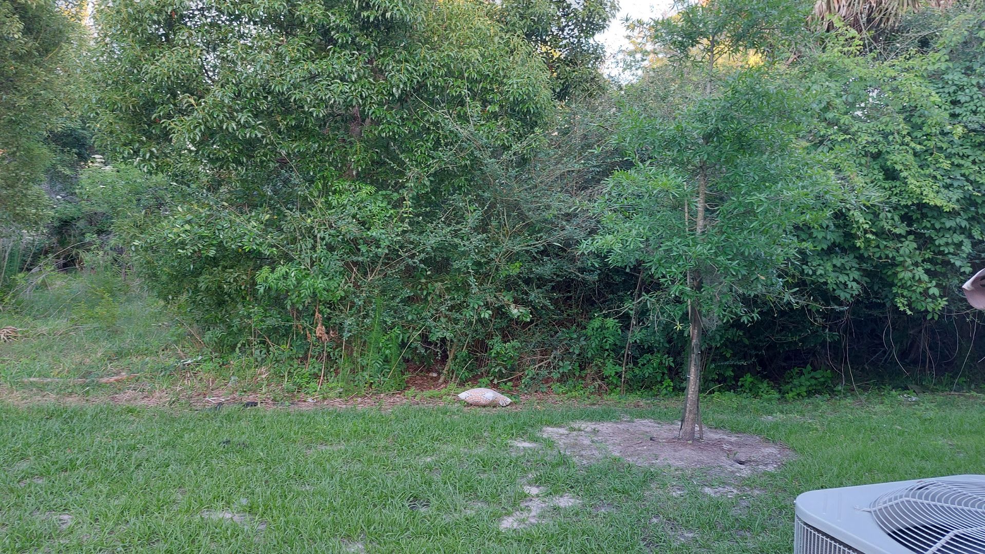 Townhome In Baymeadows – photo 3