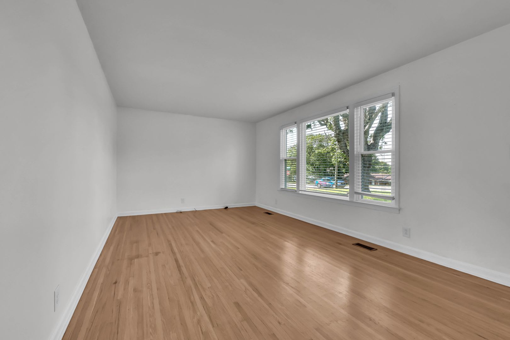 231 Alfred – photo 3