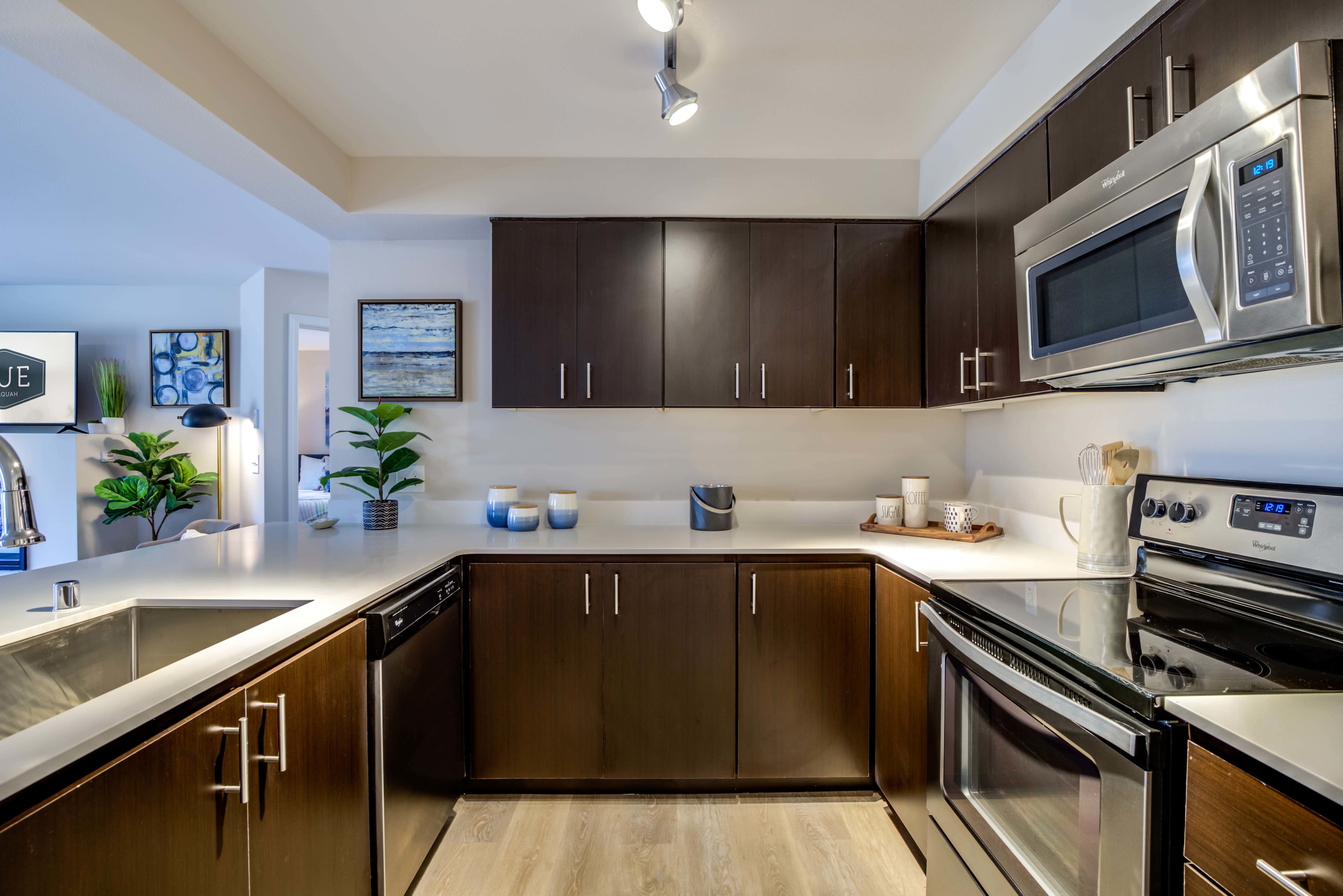 Vue Issaquah – photo 5