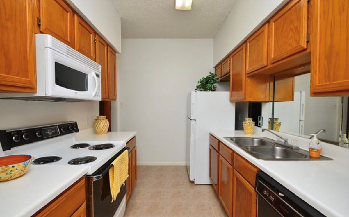 Cape Colony Apartments – photo 5