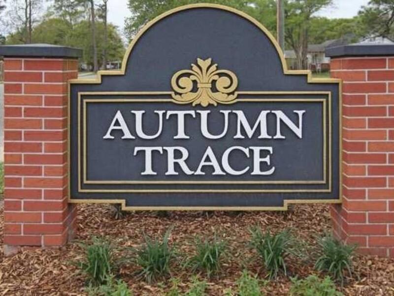 Autumn Trace – photo 5