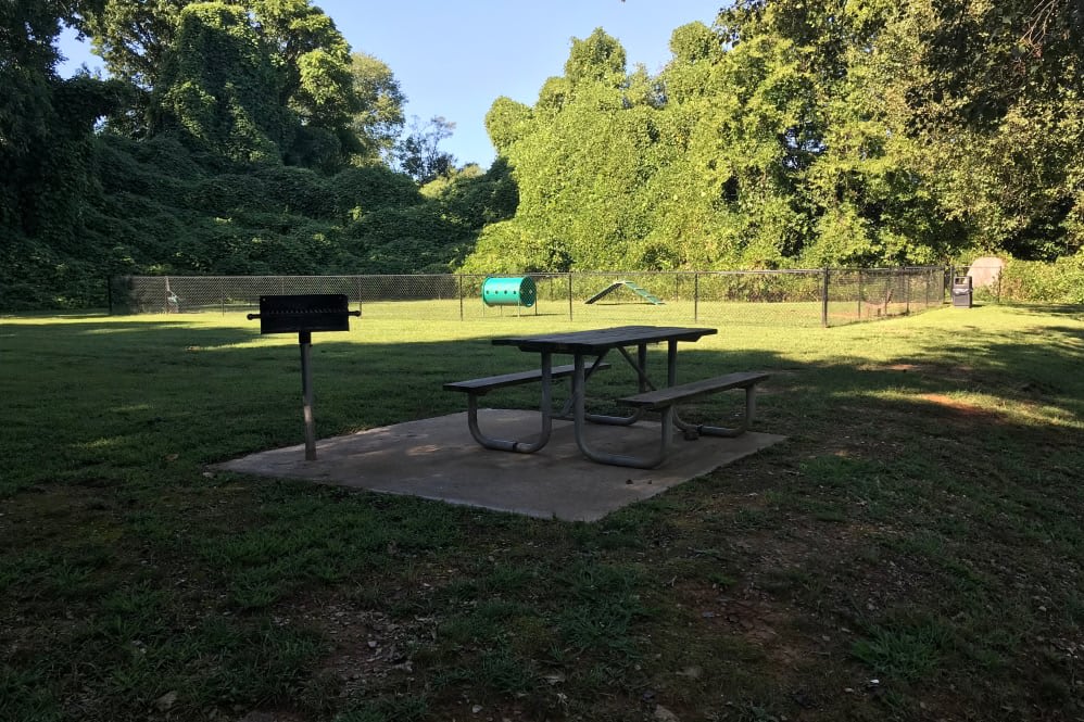 Goldelm at Cedar Bluff – photo 5