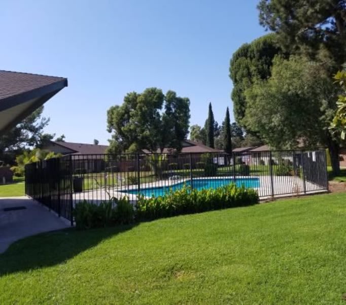 Palm Gardens – photo 3