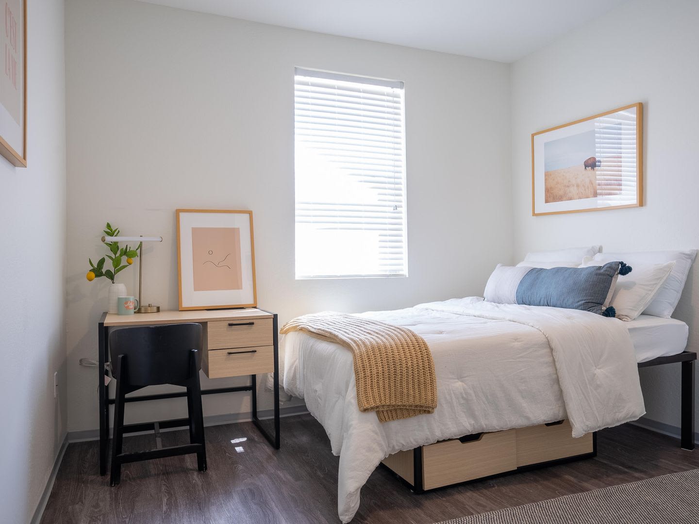 Student Housing – photo 2