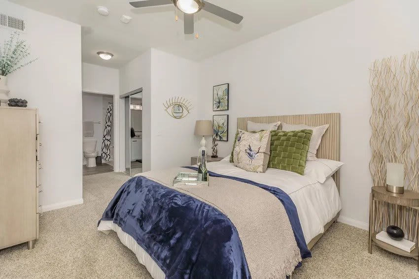 Wildwood Forest Apartments – photo 4