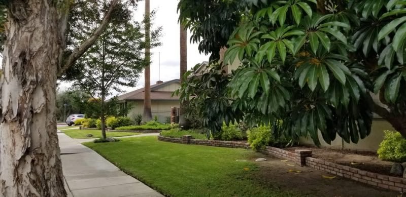3028-36 Quartz Lane – photo 5