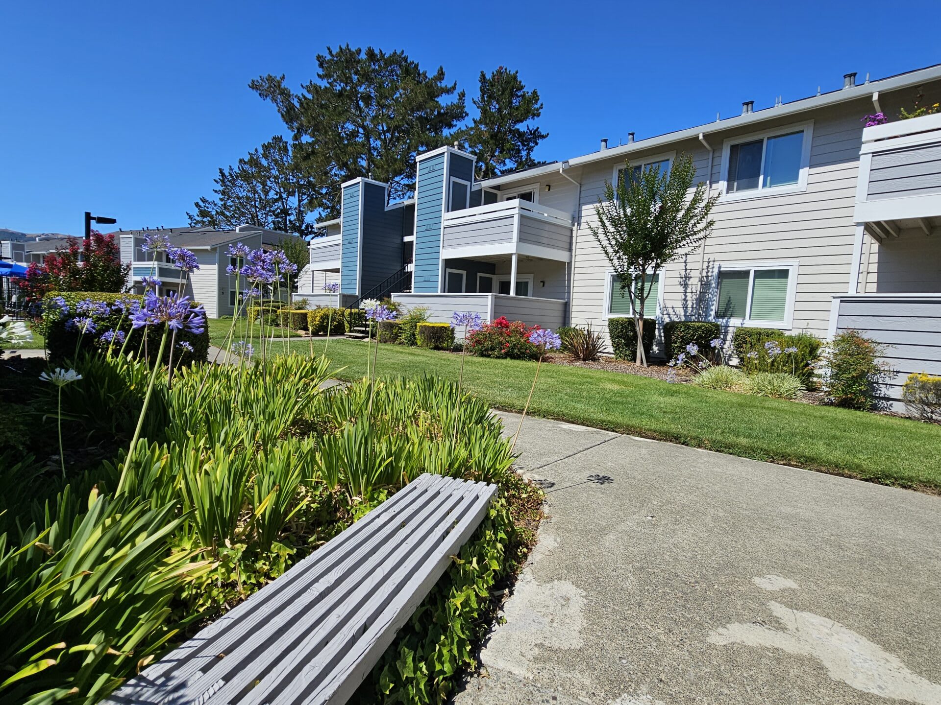 Marion Park – photo 5