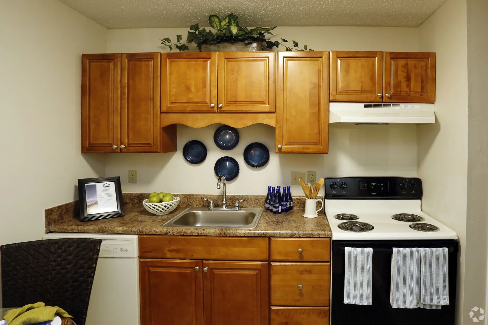 Coastal Pointe Apartments – photo 4