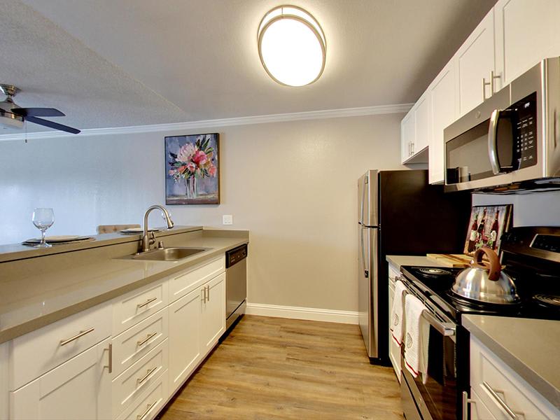Coral Court – photo 2