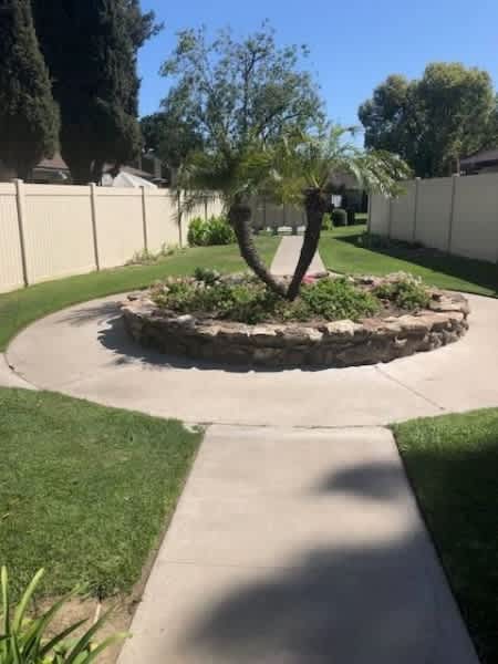 Palm Gardens – photo 4