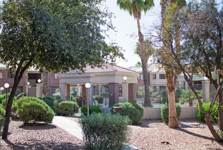 Palm Terrace – photo 2