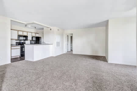 Tealwood Place – photo 4