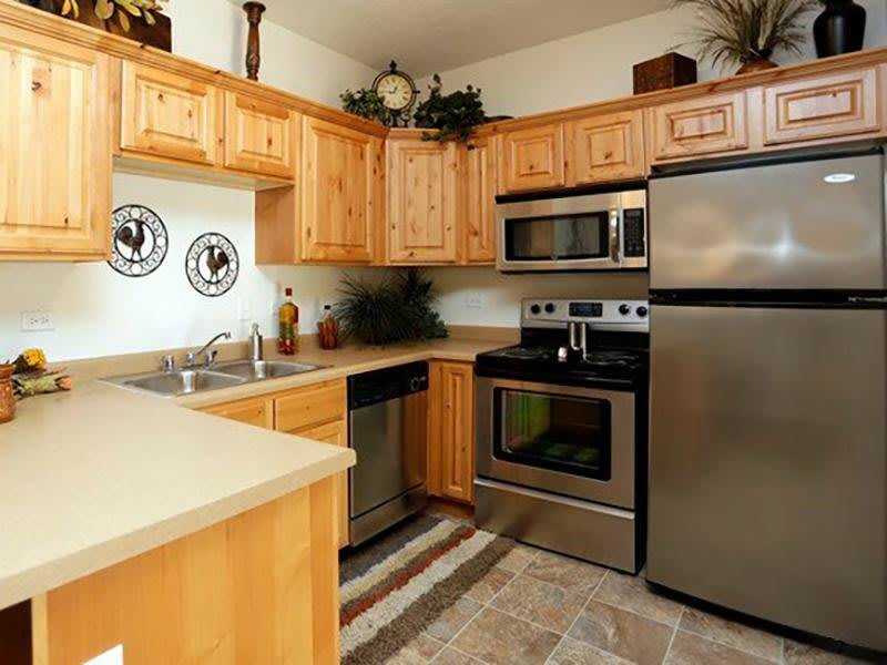 The Village at Silver Ridge Apartments – photo 3