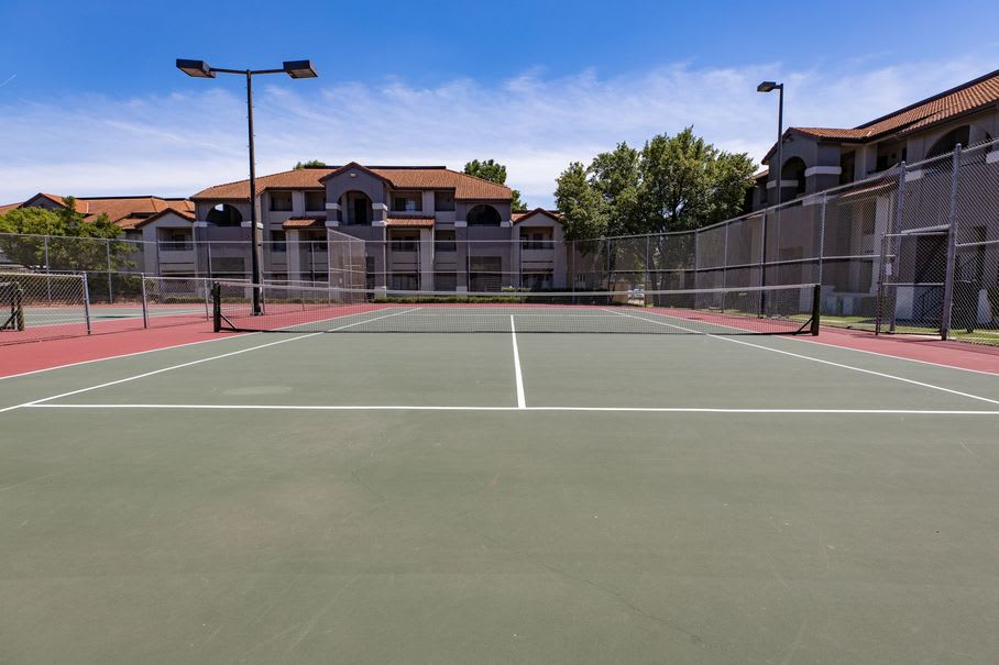 Crest Oasis – photo 4
