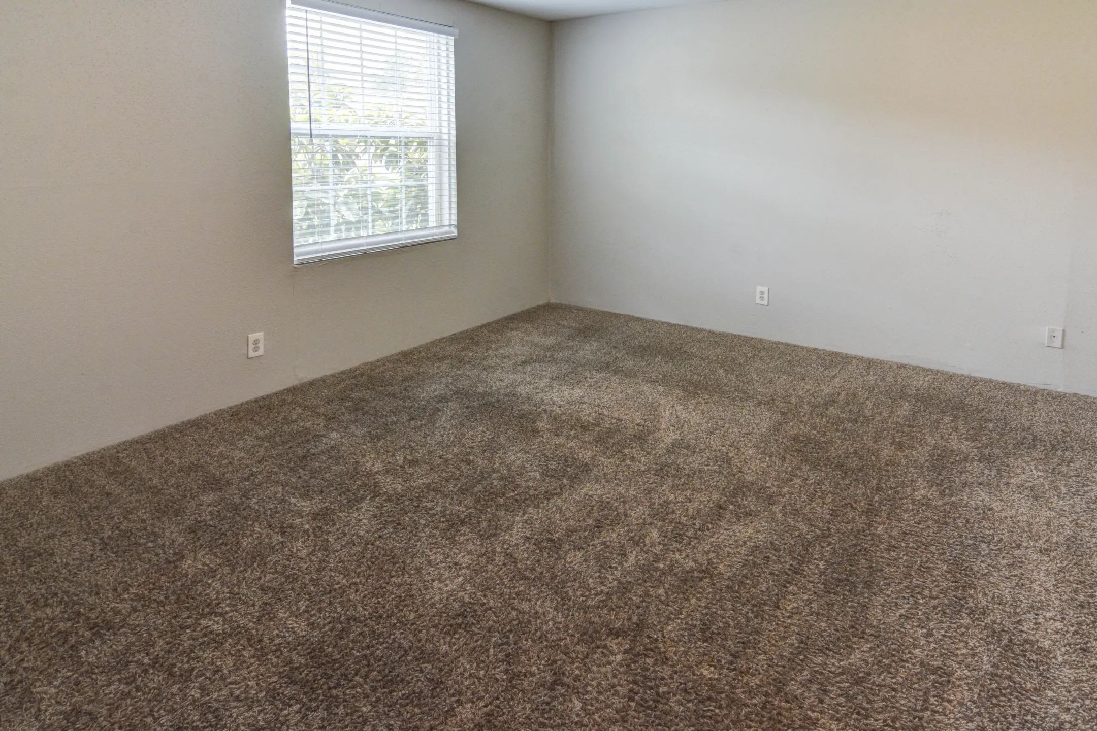 The Onyx at 3211 – photo 4