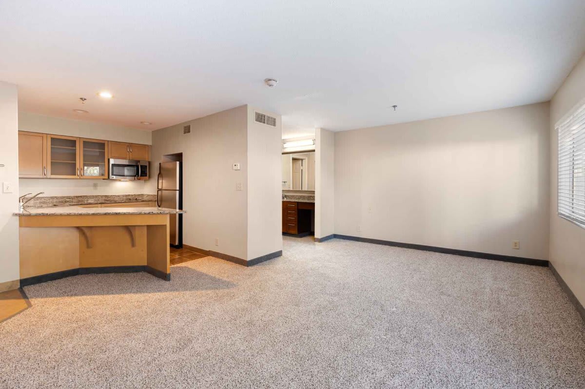 Clear Lake Apartments – photo 2