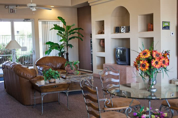 Palm Terrace – photo 5