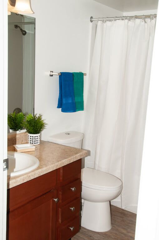 Pier 39 Apartments & Townhomes – photo 4
