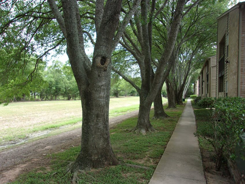 Bayou Bend Apartments – photo 5