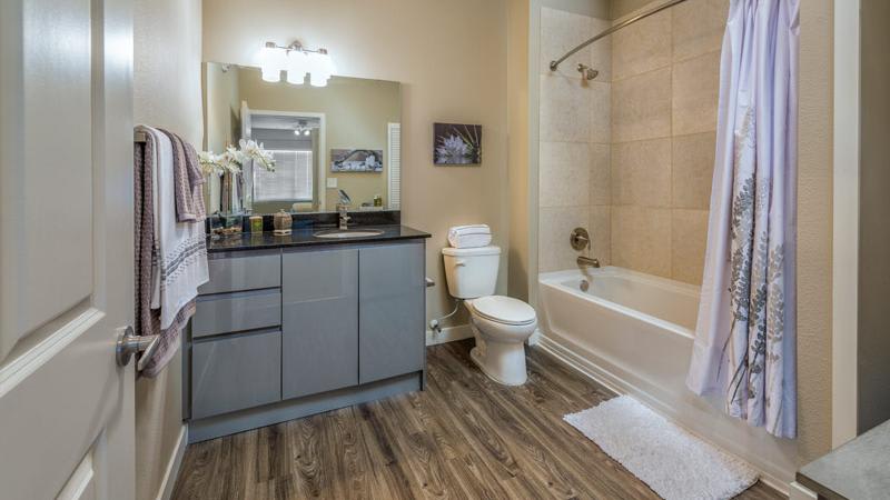 The Nolen Luxury Apartments – photo 2