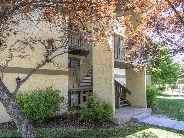 Elmwood – photo 4