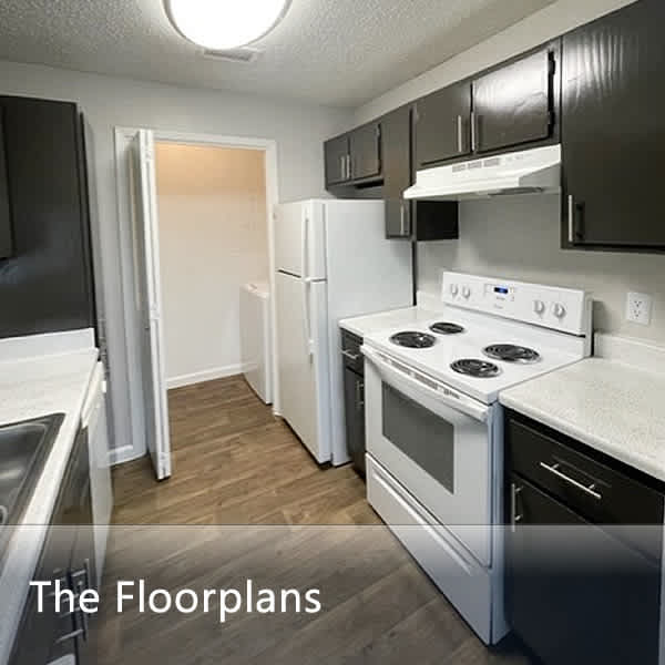 Woodhollow Apartments – photo 2