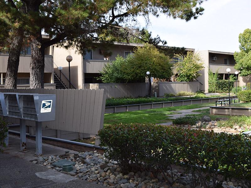 Amber Grove – photo 5