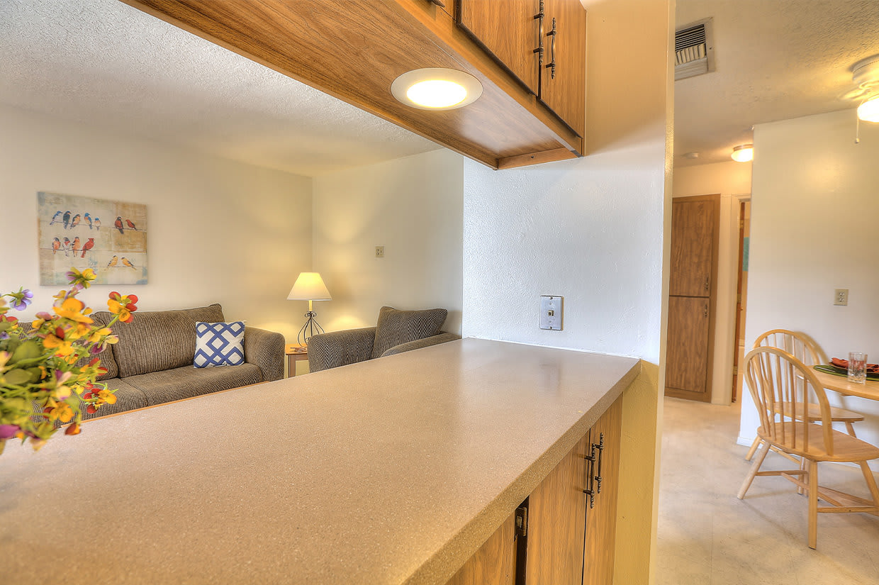 Casa Del Rey Sur – photo 3