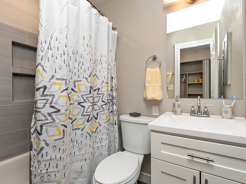 Chestnut Hills Apartments – photo 4