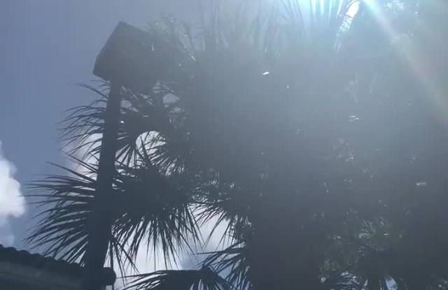 AXIS Delray Beach property video
