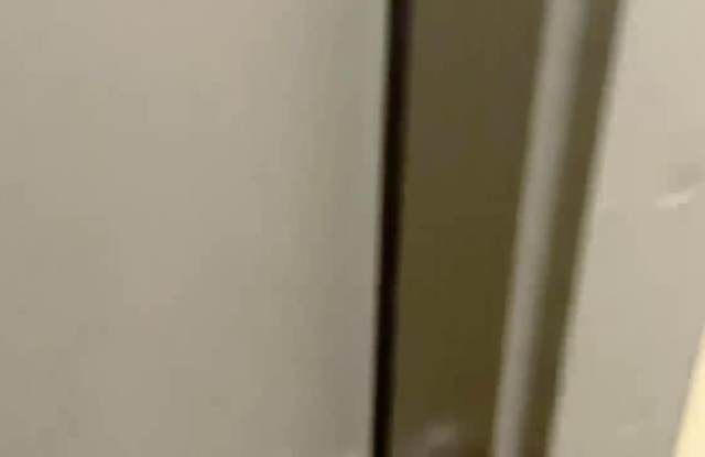 Magnolia Park Apartments property video