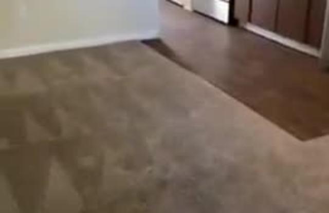 Melia Medical Center property video