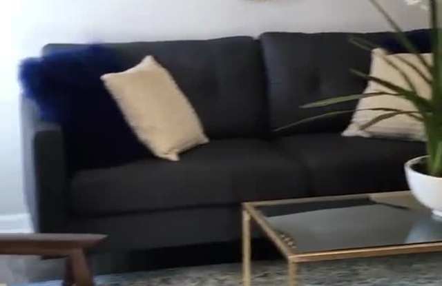 The Willows Apartments property video