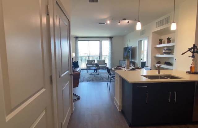 Arcadia Dr. Phillips property video