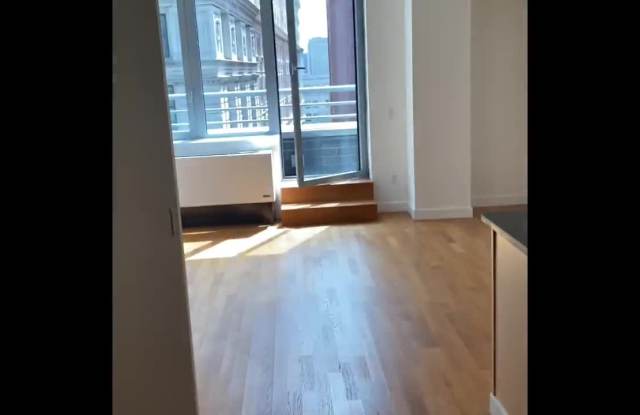 88 Leonard property video