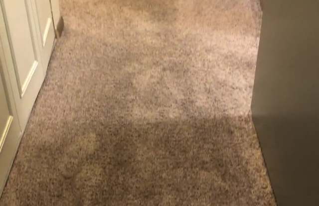 Piccadilly Apartments property video