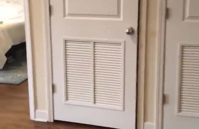 4651 North Wolcott Ave. Apt. property video