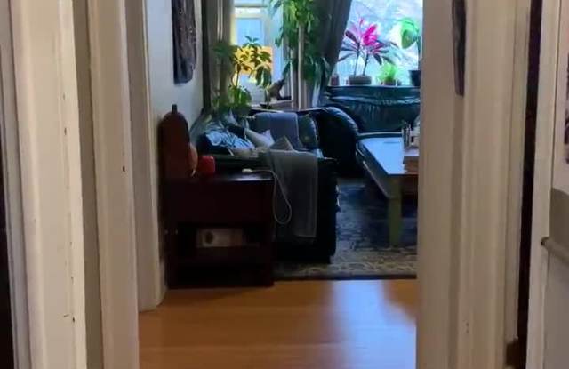 4917-23 N Hermitage property video